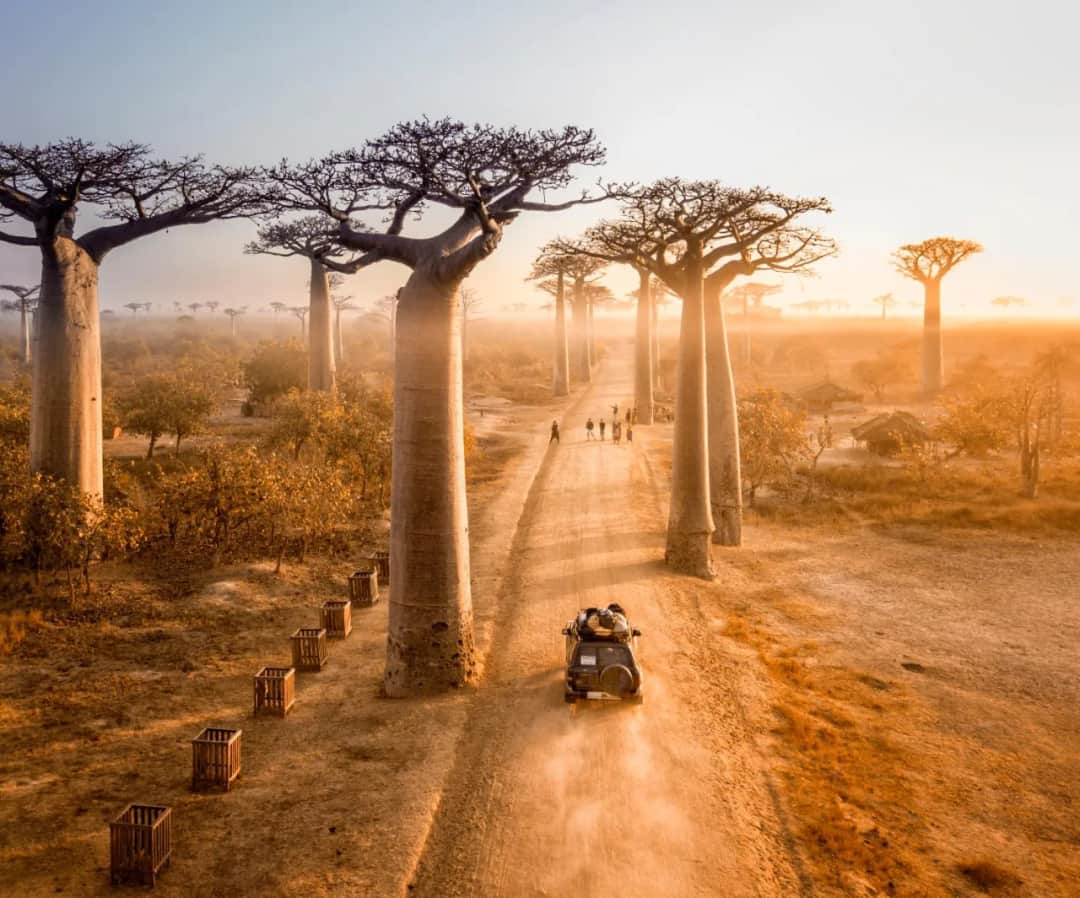 Madagaskar kiedy jechać: najlepszy czas na niezapomnianą podróż