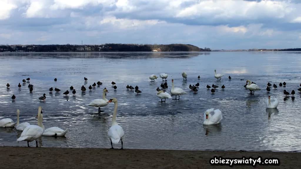 Najlepsze atrakcje w Zegrzu, które musisz zobaczyć latem