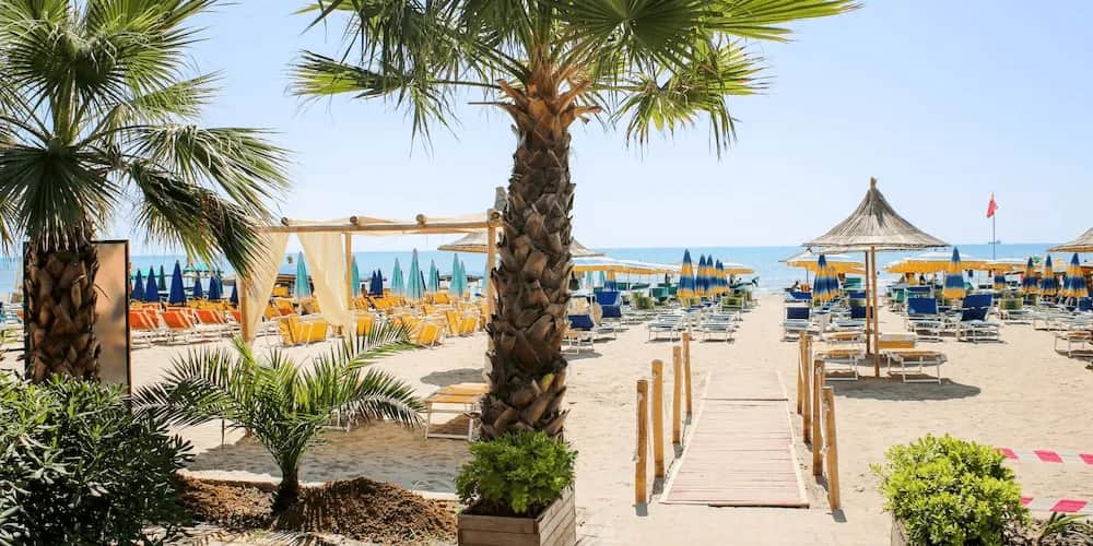 Czy Ryanair odwołuje loty z Polski? Sprawdź, co musisz wiedzieć