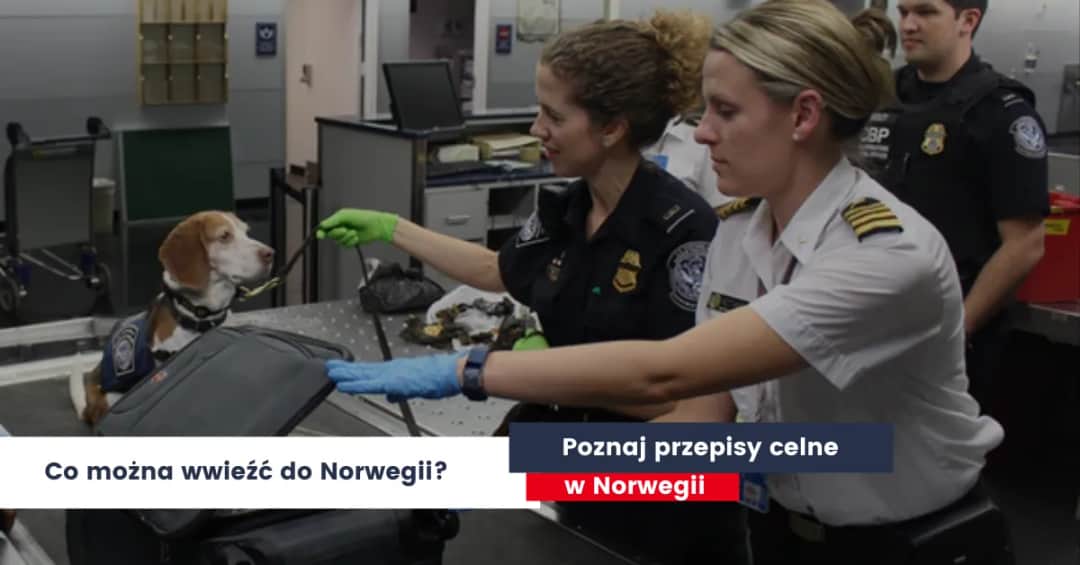 Co można przewieźć w bagażu podręcznym do Norwegii? Oto zasady