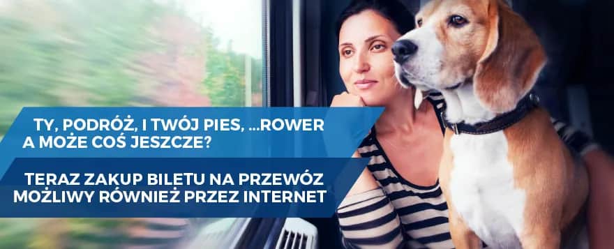 Jak kupić bilet na rower w Intercity bez zbędnych problemów?