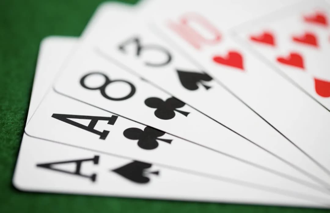 Sztuka stołowej waluty: kolory, rozmiary i ich znaczenie