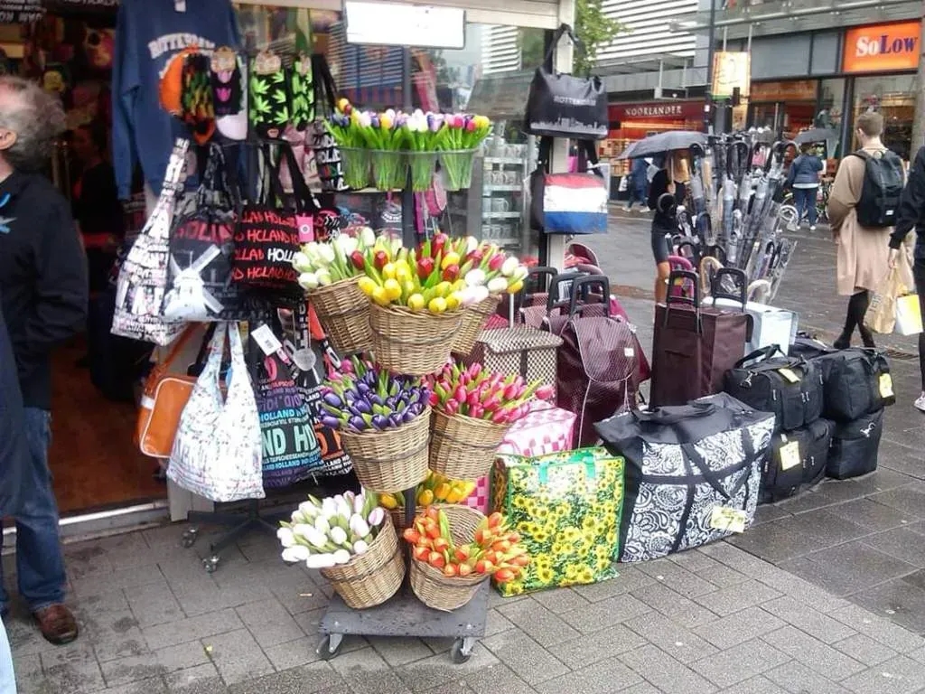 Co warto przywieźć z Holandii? Najlepsze pamiątki i specjały
