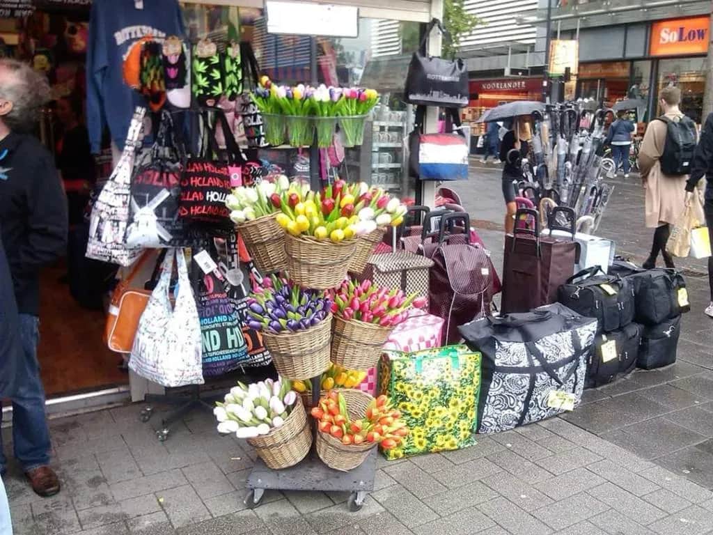 Co warto przywieźć z Holandii? Najlepsze pamiątki i specjały